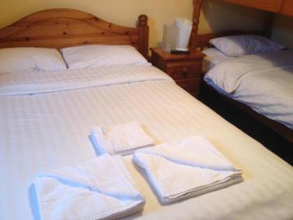 Twin Lions Hotel - image 13