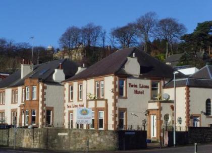 Twin Lions Hotel - image 16