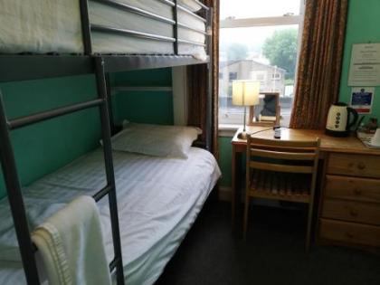 Twin Lions Hotel - image 2