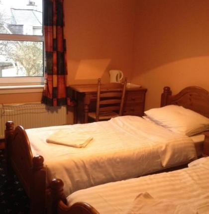 Twin Lions Hotel - image 4