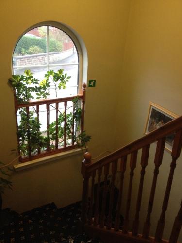 Twin Lions Hotel - image 5