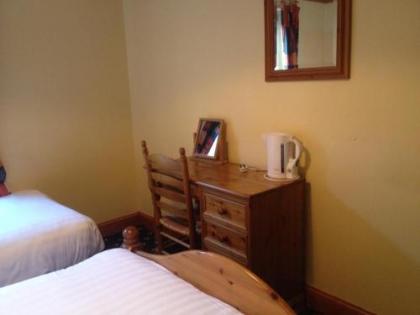 Twin Lions Hotel - image 6