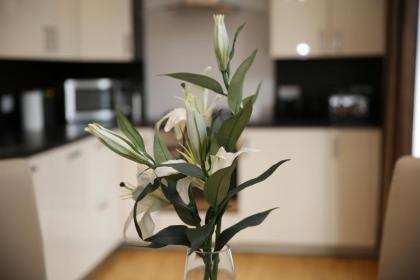 Dalry House Residence - image 15