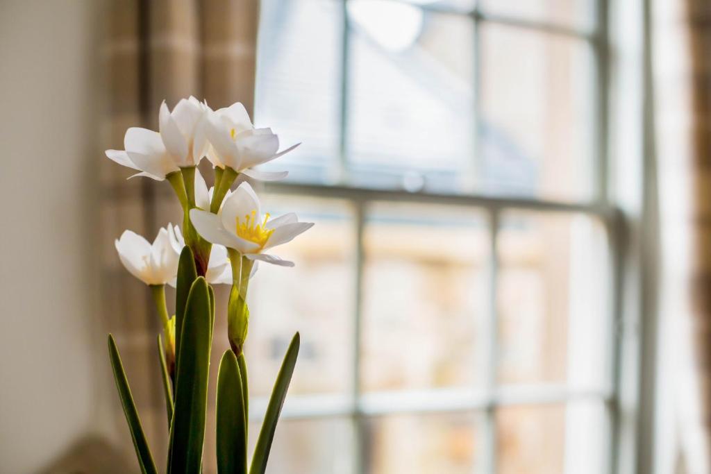 Grassmarket Apartment - image 5