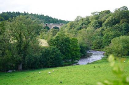 Linwater Holiday Park - image 4