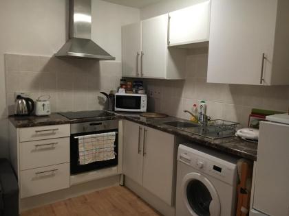 Edinburgh Central Apartment - image 10