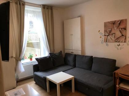 Edinburgh Central Apartment - image 3