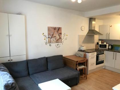 Edinburgh Central Apartment - image 5