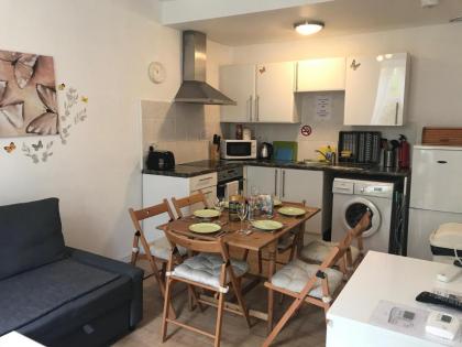 Edinburgh Central Apartment - image 7
