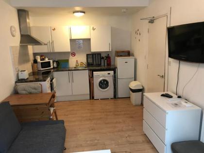Edinburgh Central Apartment - image 8