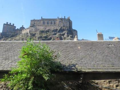 Our City - King Stable Lane - image 7