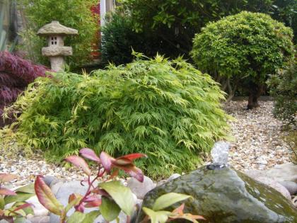 AmarAgua Guest house - image 14
