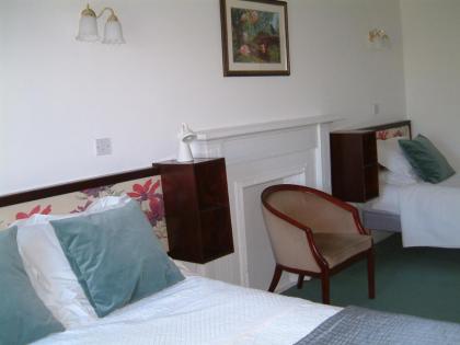 Terrace hotel - image 18
