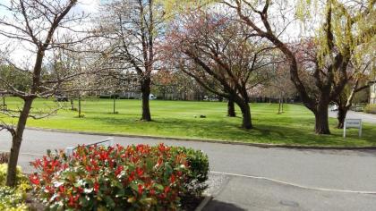 Suffolk Park Apartments - image 2