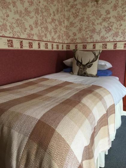 The Stag Head Hotel - image 7