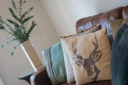 Dean Terrace Apartment - image 12