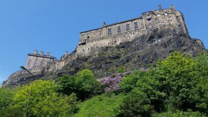 The Wee Thistle - image 1
