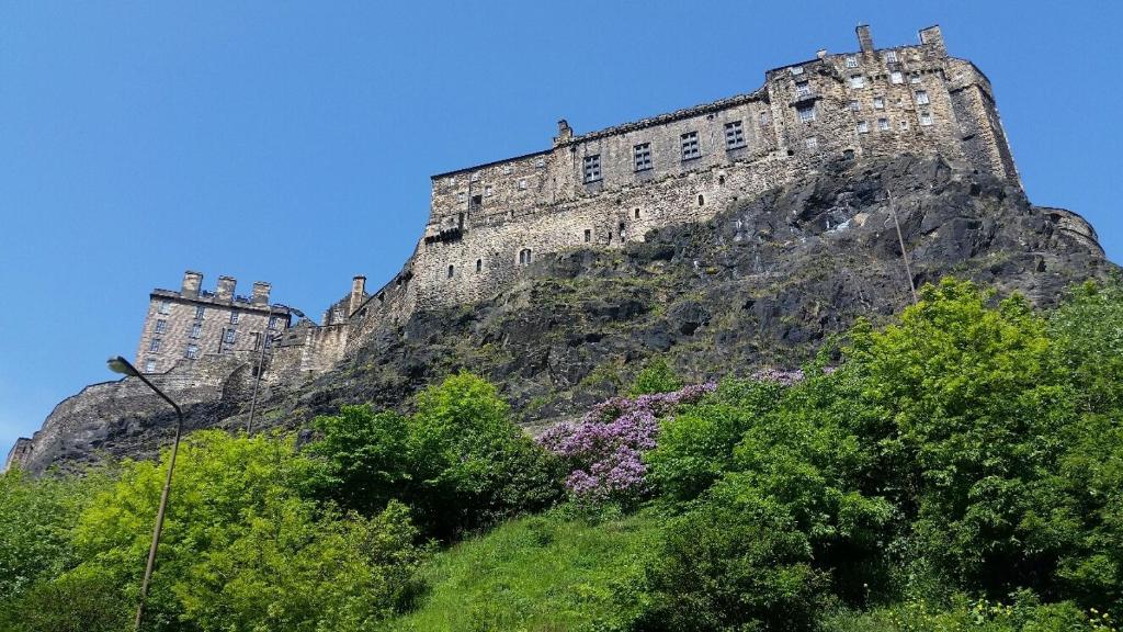 The Wee Thistle - main image