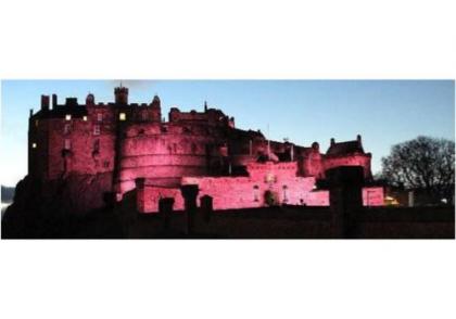 The Castle Esplanade Residence - image 2
