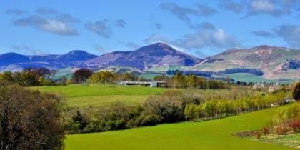 Peggyslea Farm B&B - image 20