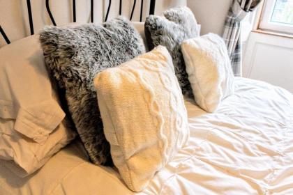 Cosy and Modern Apartment in Central Edinburgh - image 3