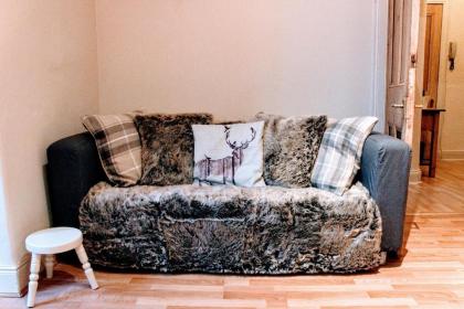 Cosy and Modern Apartment in Central Edinburgh - image 7