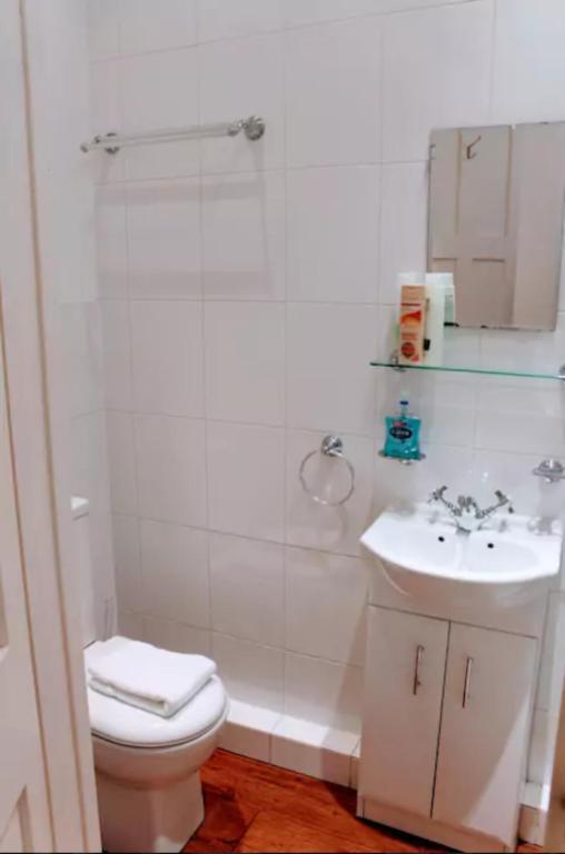 Traditional Apartment oer the Meadows - image 5