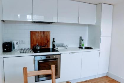 Penthouse in Edinburgh Sculpture Workshop Sleeps 2 - image 6
