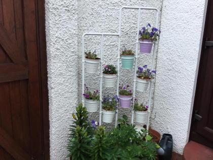 Ingleneuk Bed and Breakfast - image 15