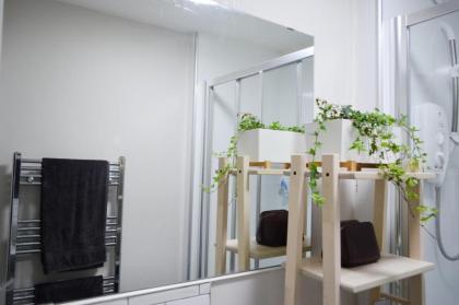 Beautiful 1 Bedroom Apartment in Stockbridge - image 10