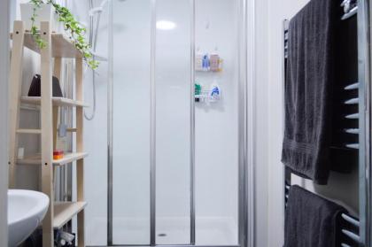 Beautiful 1 Bedroom Apartment in Stockbridge - image 11
