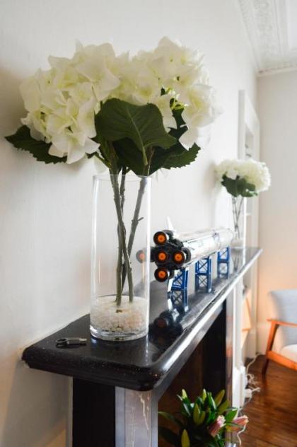Beautiful 1 Bedroom Apartment in Stockbridge - image 17