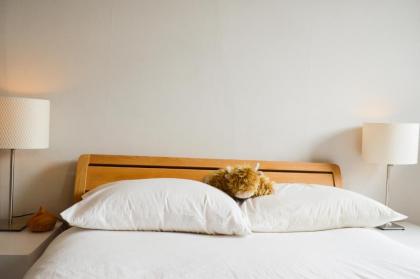 Beautiful 1 Bedroom Apartment in Stockbridge - image 2