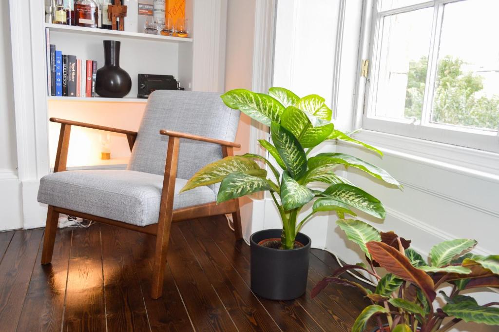 Beautiful 1 Bedroom Apartment in Stockbridge - image 5