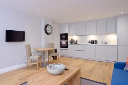 Destiny Scotland New Town Apartments - image 9