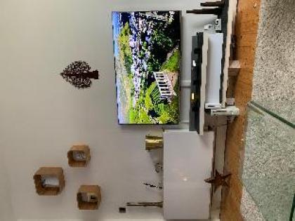 Lovely Flat near City Centre garden  FREE parking - image 10