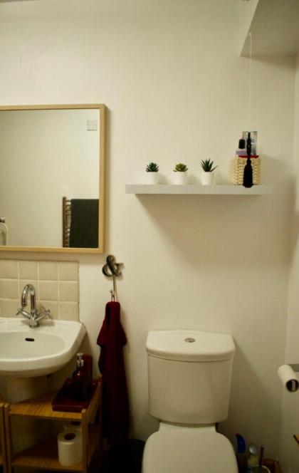 Cozy 1 Bedroom Home near the City Centre - image 15