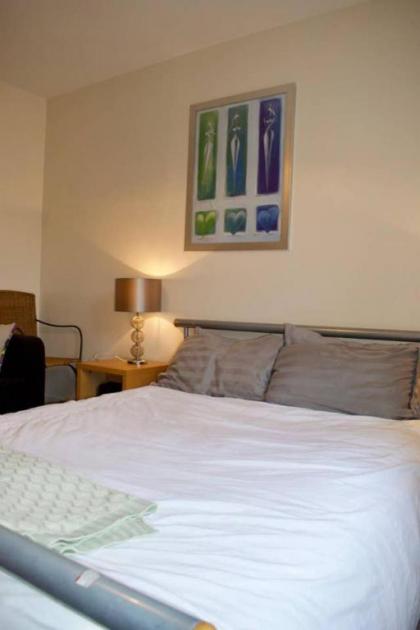 Bright and Spacious Apartment Near City Centre - image 19