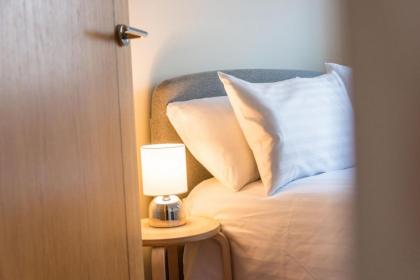 3c Dublin Street - image 12