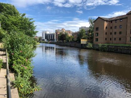 Remarkable 2 Bed Apartment in Edinburgh - image 25