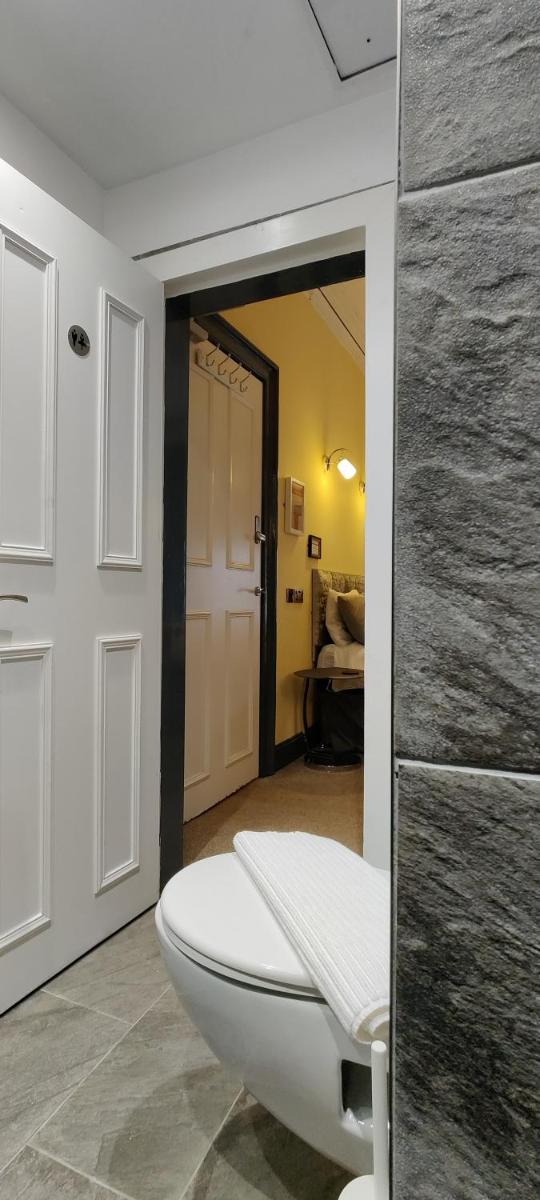 Frederick Douglass - Rooms In The City - image 5