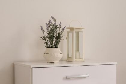 The London Road Apartment - 2BR/1BA - image 15