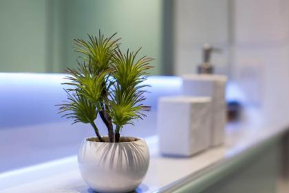 Modern Studio Apartment in prime central location - image 5