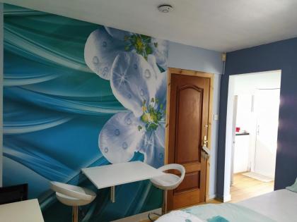 Self Catering Studio Flat - image 18