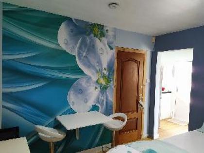 Self Catering Studio Flat - image 8