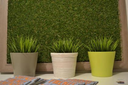 Green Domus - image 16