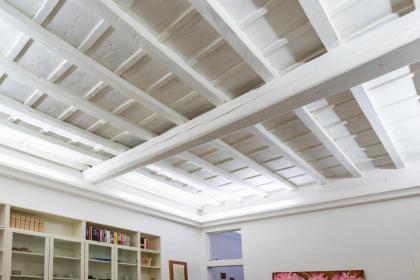 Apartments Florence Charming Santo Spirito - image 30