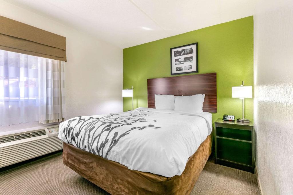 Sleep Inn & Suites Near Sports World Blvd. - image 2