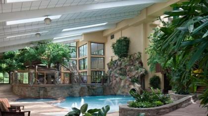 The Park Vista - A DoubleTree By Hilton Hotel - Gatlinburg - image 11