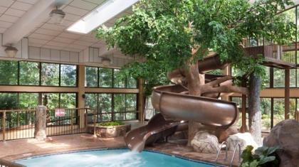 The Park Vista - A DoubleTree By Hilton Hotel - Gatlinburg - image 12